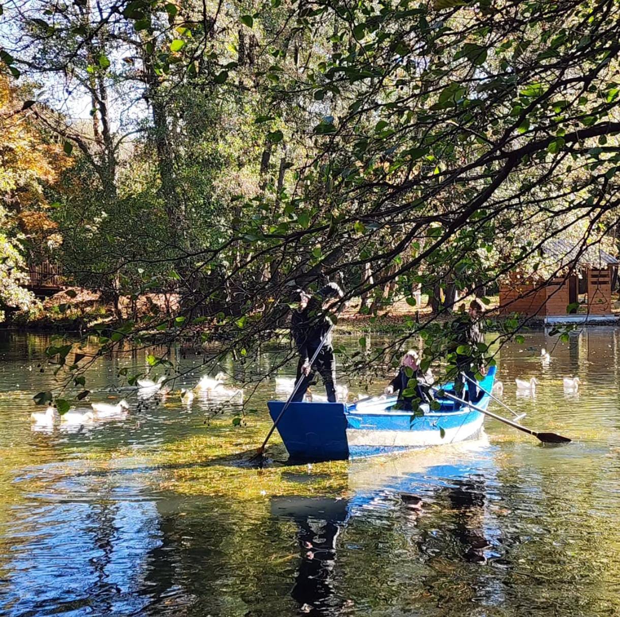 Pastrimi i ujit, Drilon