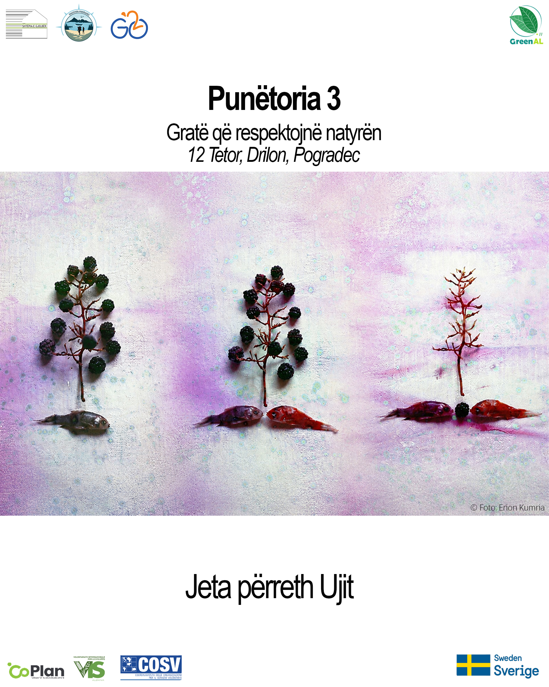 POSTER 3